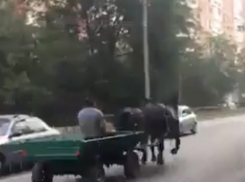 Лихой наездник на двойке лошадей обогнал автобус в Ростове и попал на видео