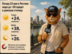 Жара до +28 накроет Ростов 23 мая