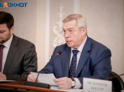 Василий Голубев: 2024 год в Ростовской области будет Годом добрых дел