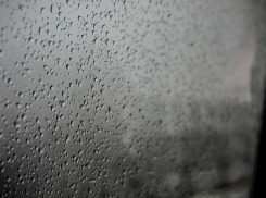Дождь и сильный ветер ожидаются в Ростове 29 марта