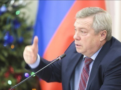 Василий Голубев: бизнесменам невыгодно получать субсидии, потому что затем его изводят проверками