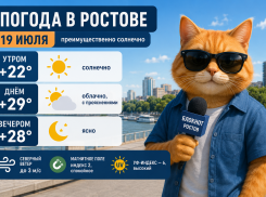 В Ростове-на-Дону неделя закончится потеплением до +29 градусов
