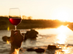В Ростовской области 16 сентября пройдет фестиваль вина «Цимлянские традиции» 