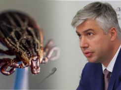 Сити-менеджер Ростова Логвиненко жестко отчитал подчиненного за плохую борьбу с клещами