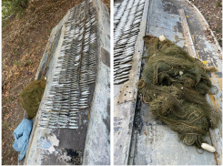 До двух лет тюрьмы грозит жителю Ростовской области за незаконную рыбалку