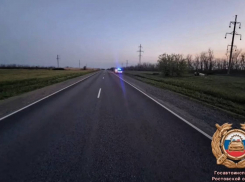 Водитель иномарки погиб из-за потери управления на трассе под Ростовом