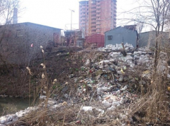 Лелюшенковский парк превращен в помойку 