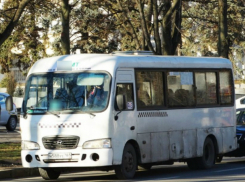 Остановившаяся резко маршрутка нанесла травмы пенсионерке в Ростове