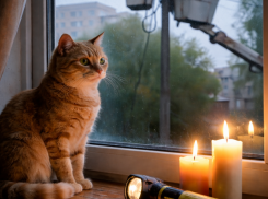 Массовое отключение света планируется в Ростове на следующей неделе