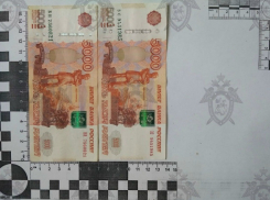 В Ростовской области инспектор ДПС пойдёт под суд за взятку в 20 тысяч рублей от пьяного водителя