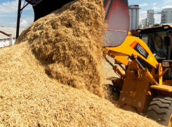 Рекордным по сбору зерновых стал 2016 год для Ростовской области