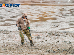 В Северное водохранилище Ростова выпустят белого амура и толстолобика