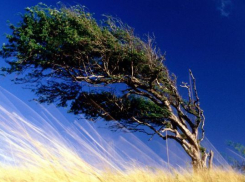 В Ростовской области объявлено штормовое предупреждение 