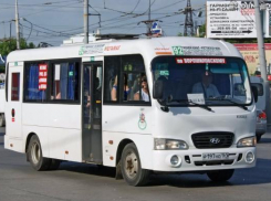 Ростовчанин хочет вернуть автобусы на Красноармейскую