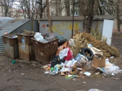 45 млн рублей штрафа получили нарушители чистоты и порядка в Ростовской области 