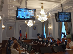 В Ростове депутаты обсудили, кто должен подвозить школьников и как за этим следить