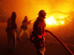 Из горящего магазина «Овощи и фрукты» в центре Ростова эвакуировали 43 человека