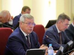 Голубев опроверг работу систем ПВО в Ростовской области 7 ноября