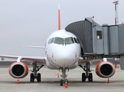 Цены на перелеты в Ростов в период ЧМ-2018 упали на четверть