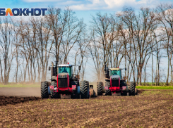 В Ростовской области могут ввести режим ЧС из-за засухи
