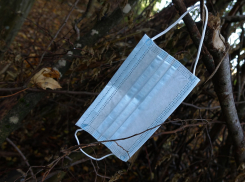 Власти Ростовской области сообщили о новом рекорде по смертям от коронавируса