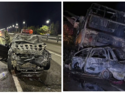 Три человека погибли в ДТП с водителями без прав на дорогах Ростовской области