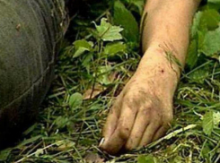 Молодую женщину нашли убитой в Ростовской области