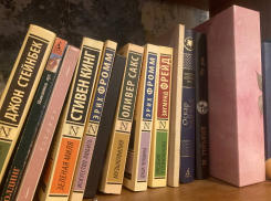 Библиотеки Ростовской области убирают из доступа книги иноагентов
