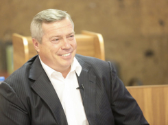 Ростовчане снова раскритиковали фотографии природы от губернатора Голубева