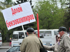 Ростовских автомобилистов зовут на всероссийскую акцию протеста против роста цен на топливо
