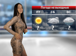 Дождь ожидается в Ростове-на-Дону на выходных