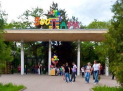 Смотровая площадка зоопарка Ростова изменит свой облик за счет городского бюджета