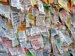 Ростовчане смогут снова заработать на сорванных объявлениях