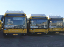 В Ростове для пассажиров автобуса запустят аудиоэкскурсию