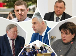 Глава администрации Ростова Логвиненко удовлетворил депутатов гордумы