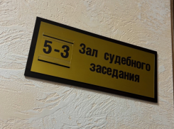 В Ростове жителю ДНР дали 22 года колонии за госизмену и содействие террористам