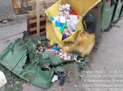 В Ростове возросло количество возгораний на контейнерных площадках  