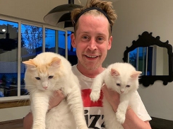 Звезда фильма «Один дома» запостил ролик ростовских аниматоров в своем Instagram