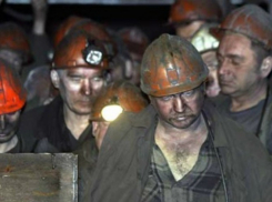 В отношении гендиректора ООО «Кингкоул» в Ростовской области  возбуждено семь уголовных дел 