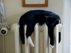 Мэрия Ростова рассказала, когда в городе дадут горячую воду