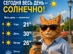 Погода на 25-ое августа: солнечно весь день!