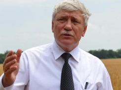 Замгубернатора Ростовской области и министр сельского хозяйства покинул свой пост