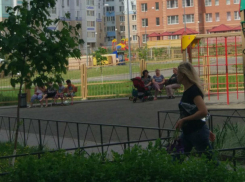 Букет цветов, сорванных с чужой клумбы, преподнесла мужу романтичная грубиянка в Ростове