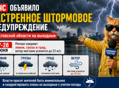 МЧС объявило экстренное штормовое предупреждение в Ростовской области на выходные
