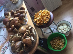 В трех районах Ростовской области зафиксированы отравления грибами