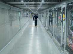 «Ограничение продажи лекарств и карантин»: как изменится жизнь ростовчан, если в регионе введут режим ЧС