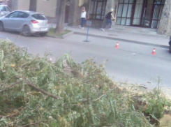 Огромным распиленным деревом коммунальщики Ростова завалили жителям проезд во двор 