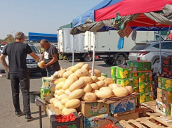 Под Ростовом до конца года откроют крупный плодоовощной рынок