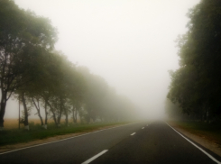 Туман, облачно, без осадков: прогноз погоды в Ростове на 29 октября