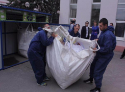 Более полусотни деревьев спасли от гибели работники ростовского водоканала